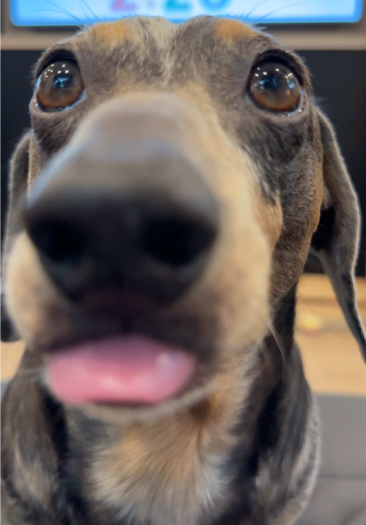 @Oscar The Wiener