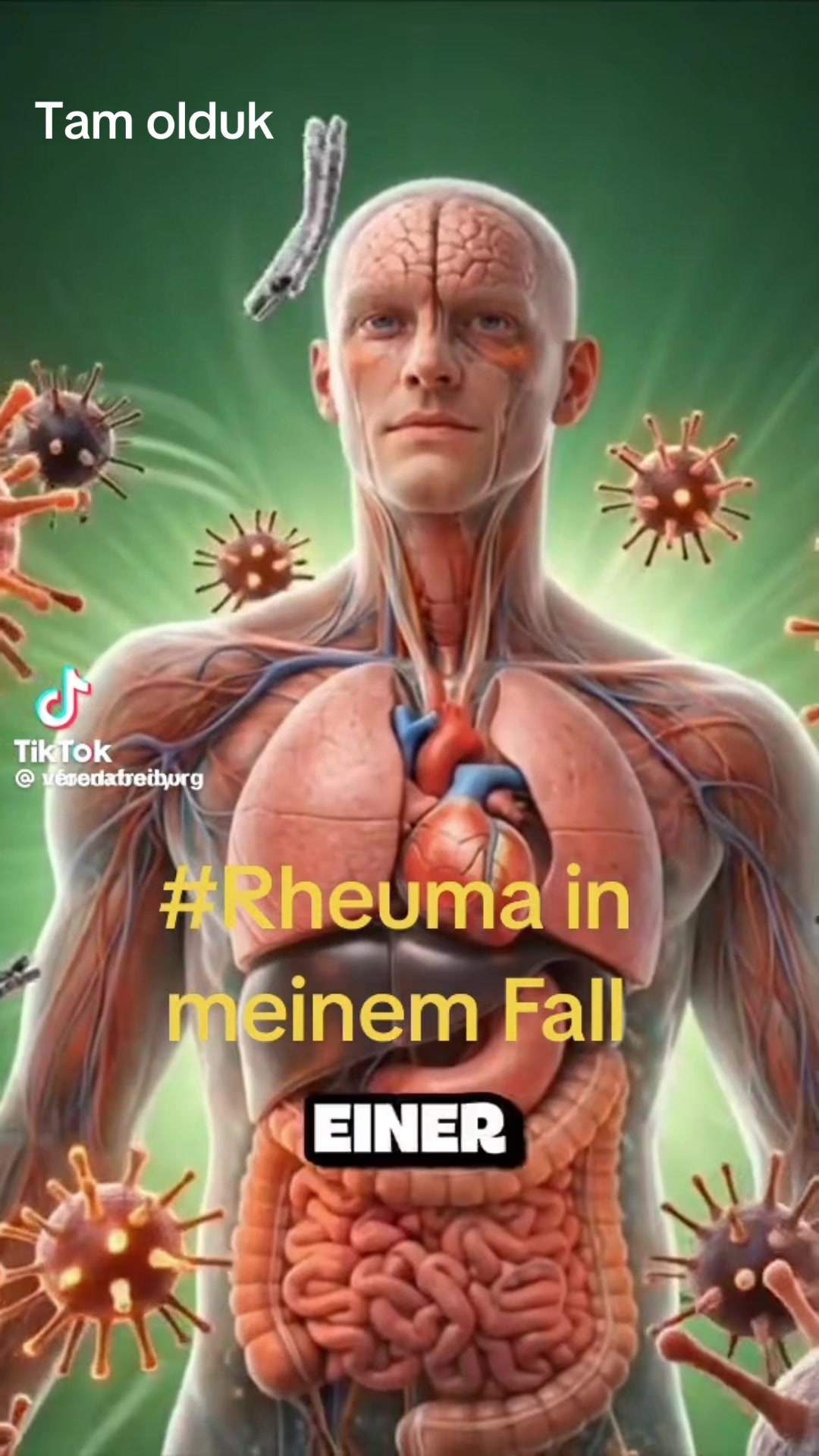 @Serap 44