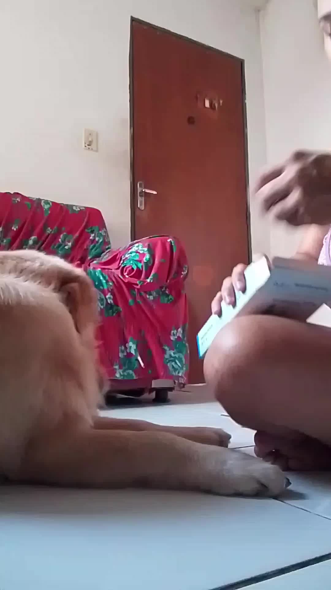 @kallen_villar e max o golden