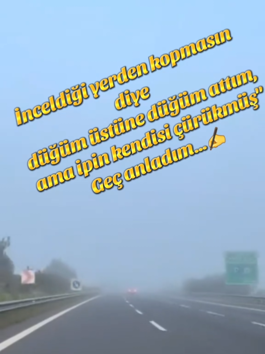 @Avrupadaki_Corumlular_19
