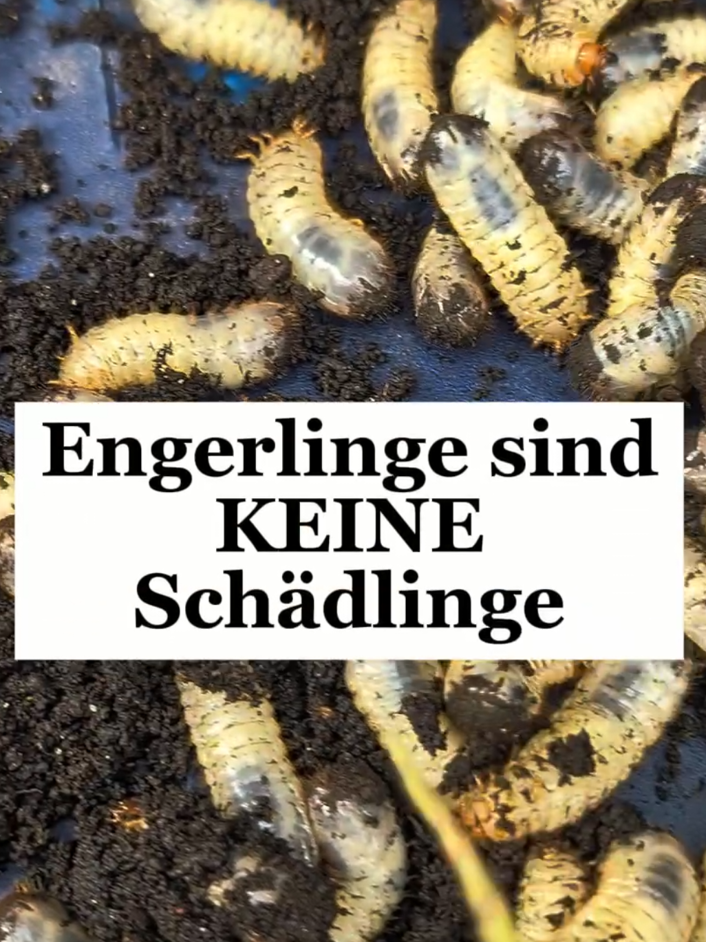 @ErnteExperte