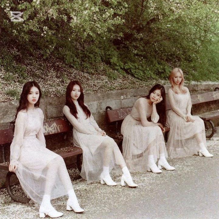 @jinsouls
