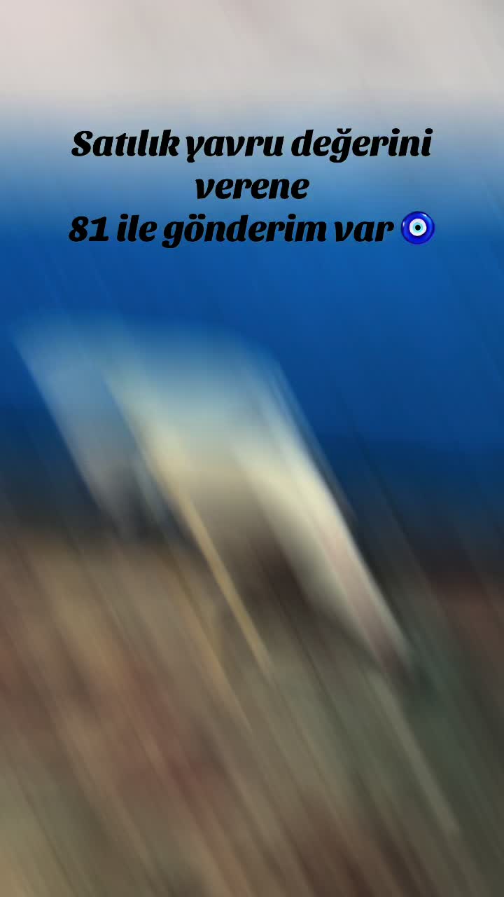 @Sivas Aslanları 🦅