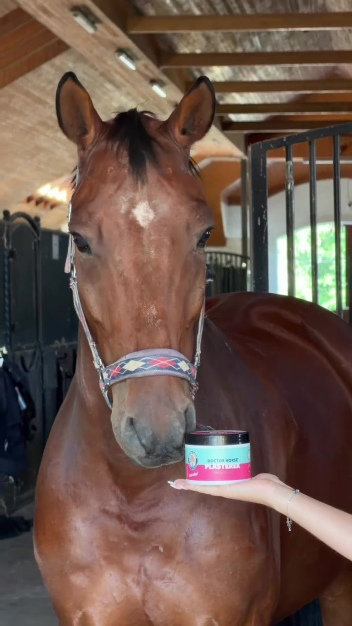 @Doctor Horse