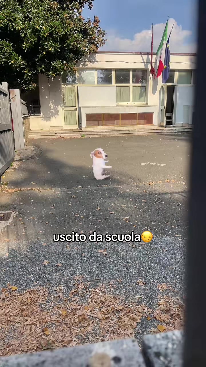 @-.𝕒𝕝𝕝𝕖.-⭐️