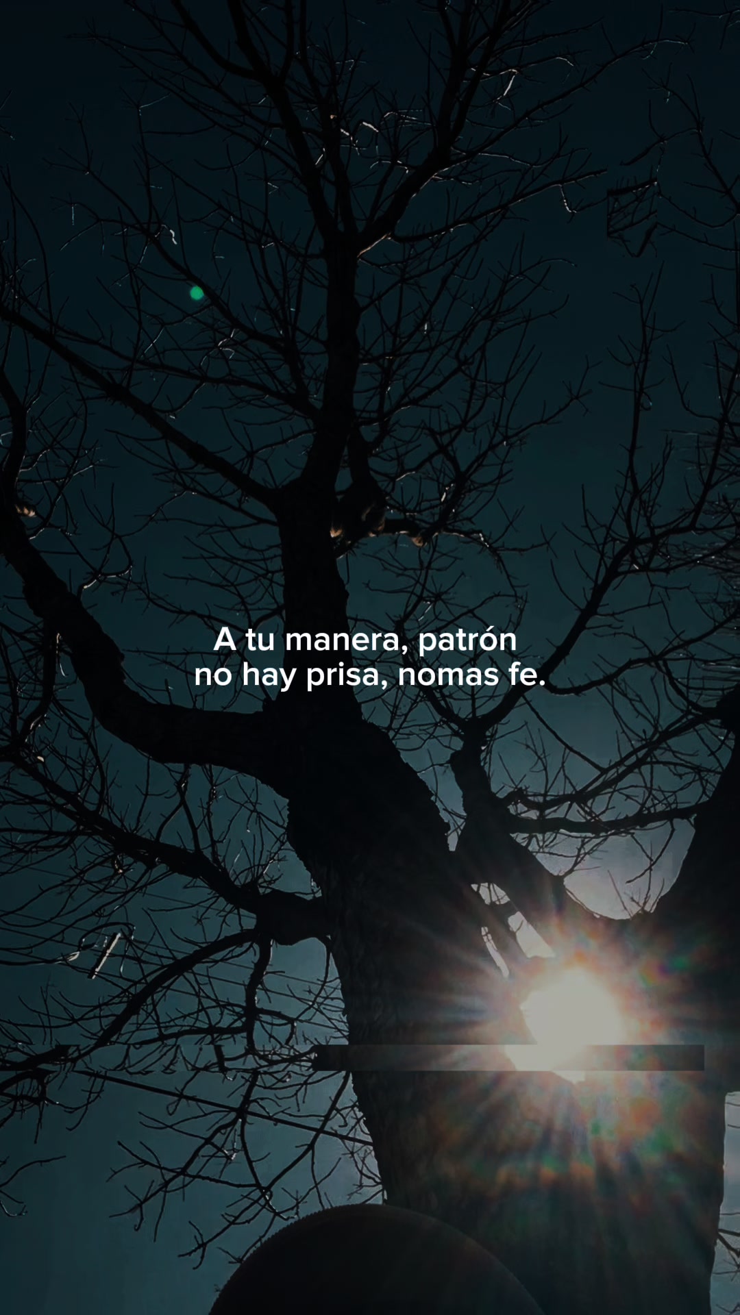 @Patricia Arronal