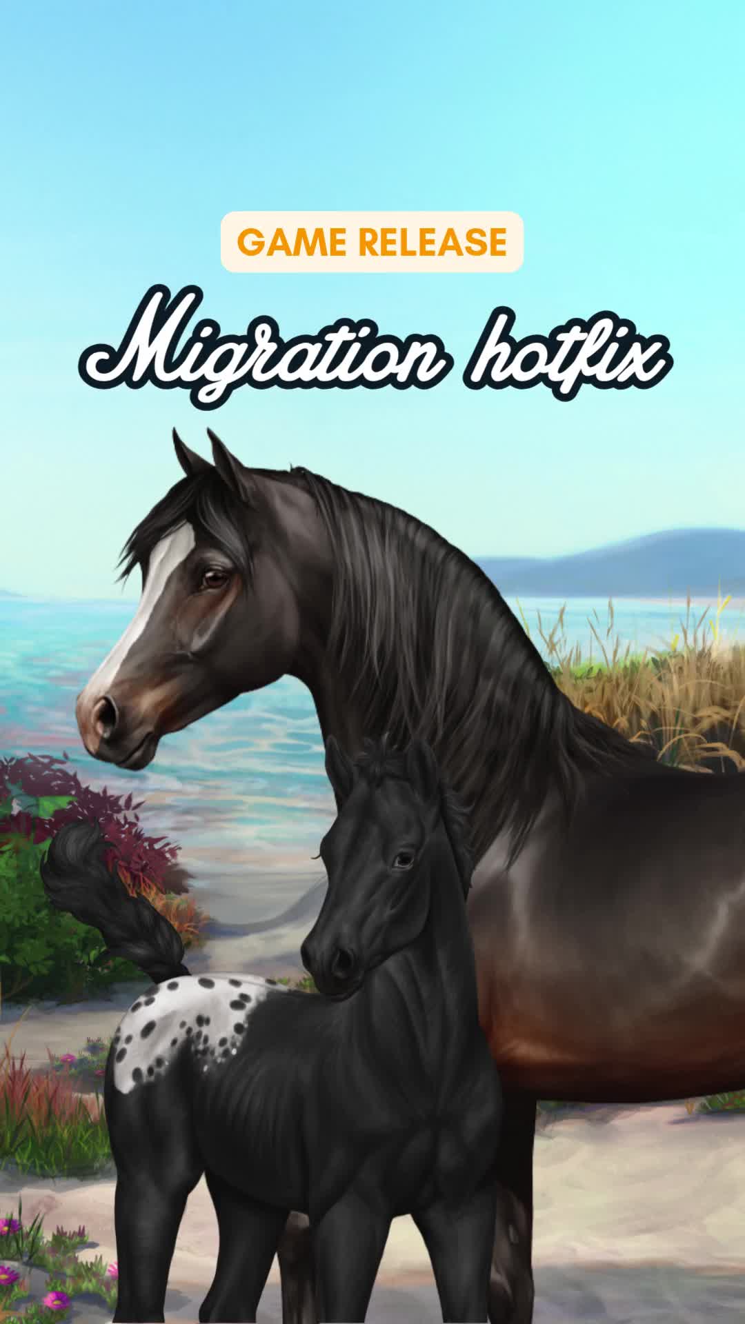 @Horse Reality