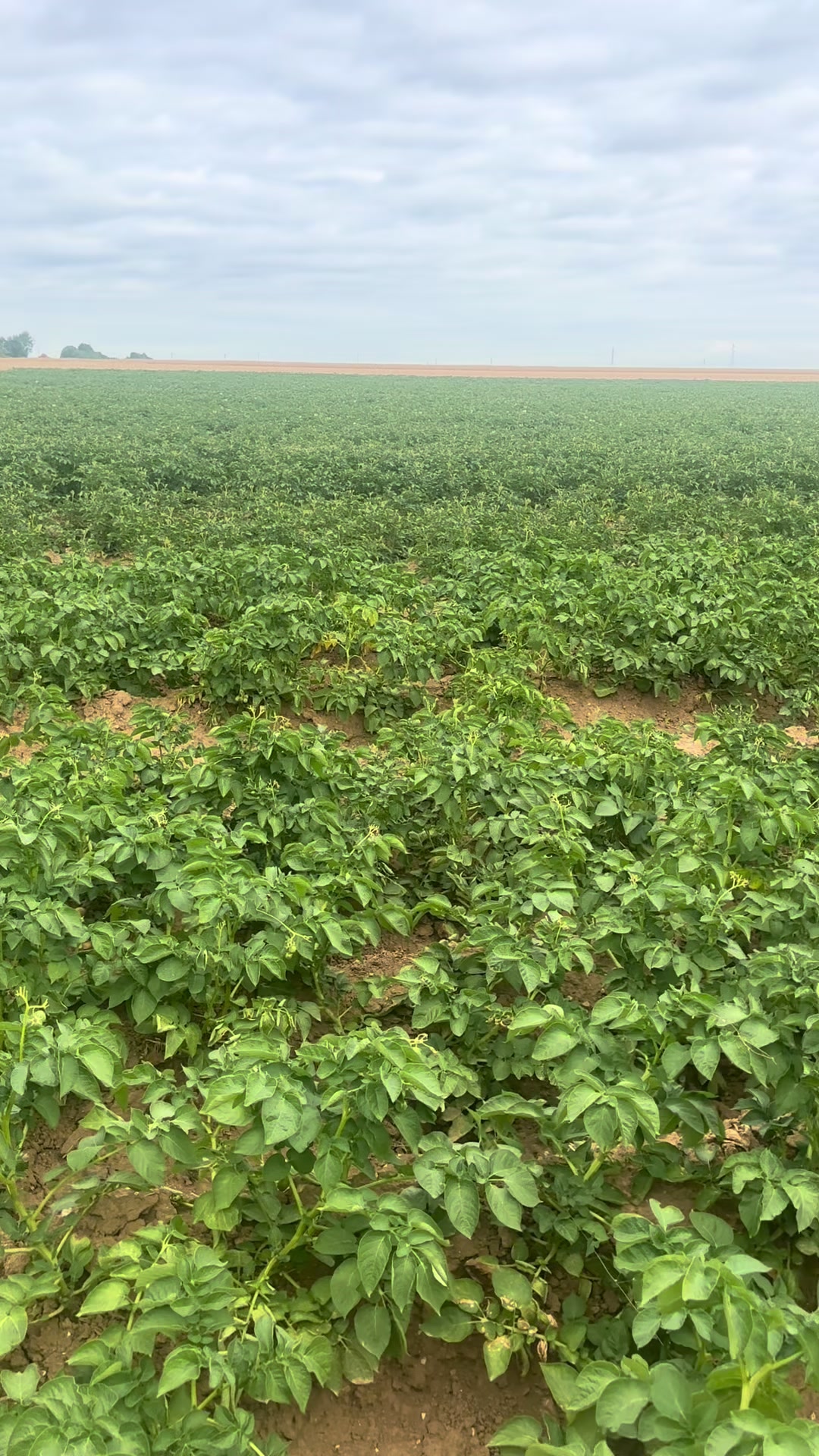 @Mon quotidien agricole