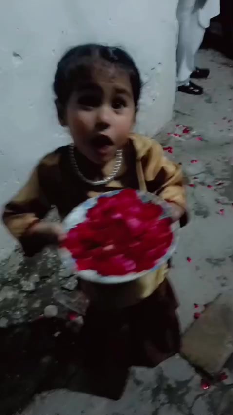 @Shamail Ashraf