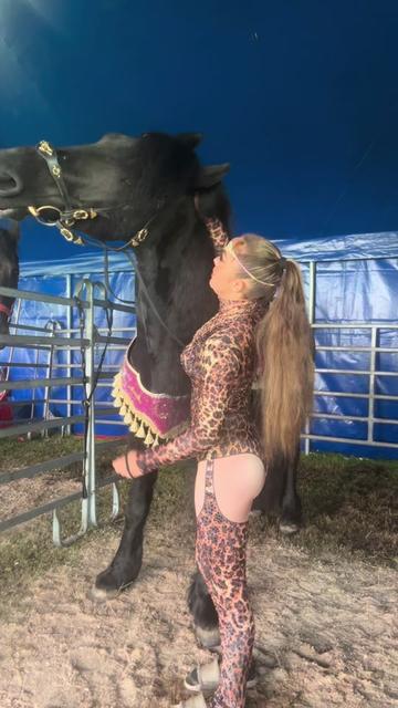 @Horses