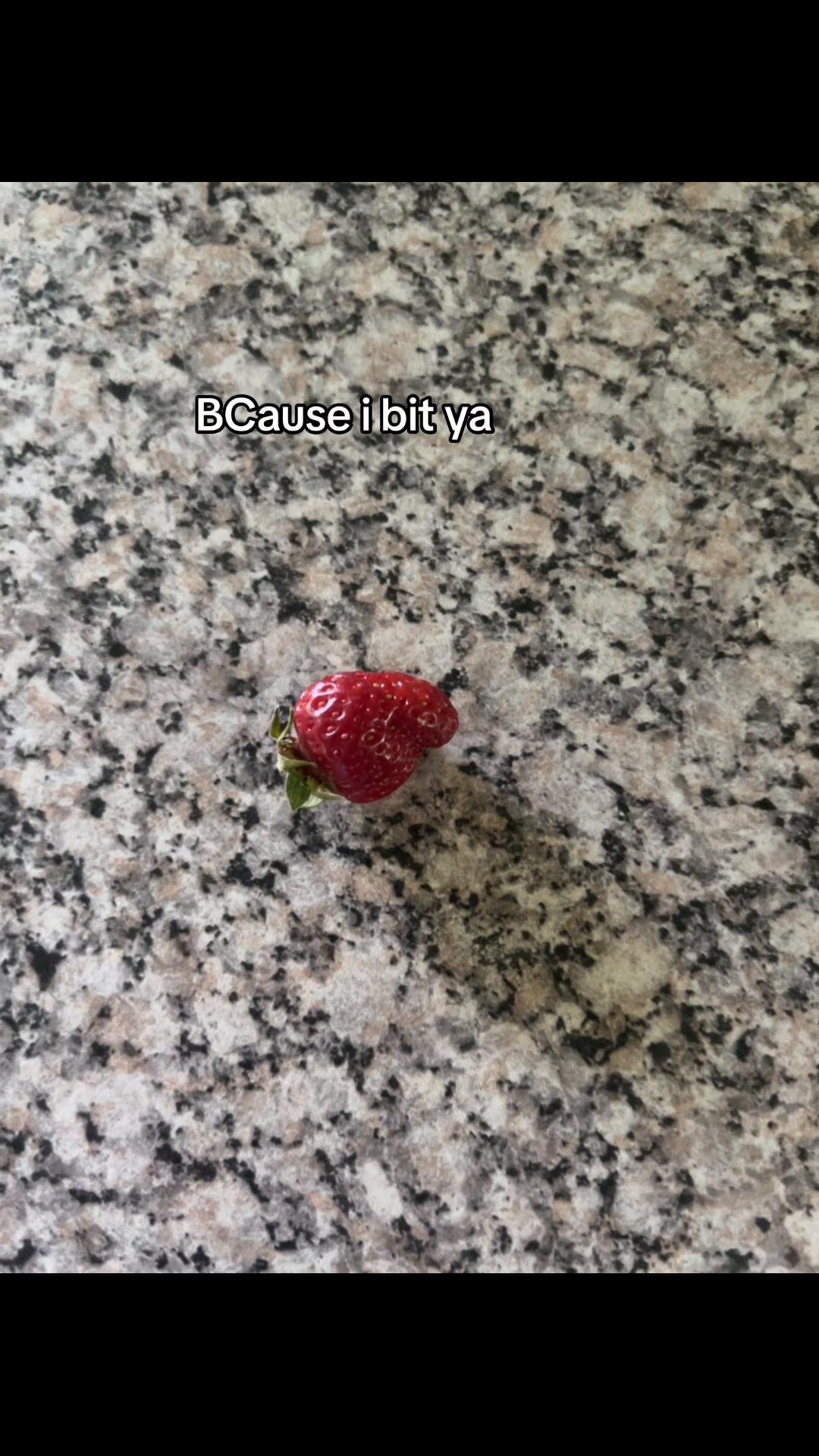 @lobotomiediary