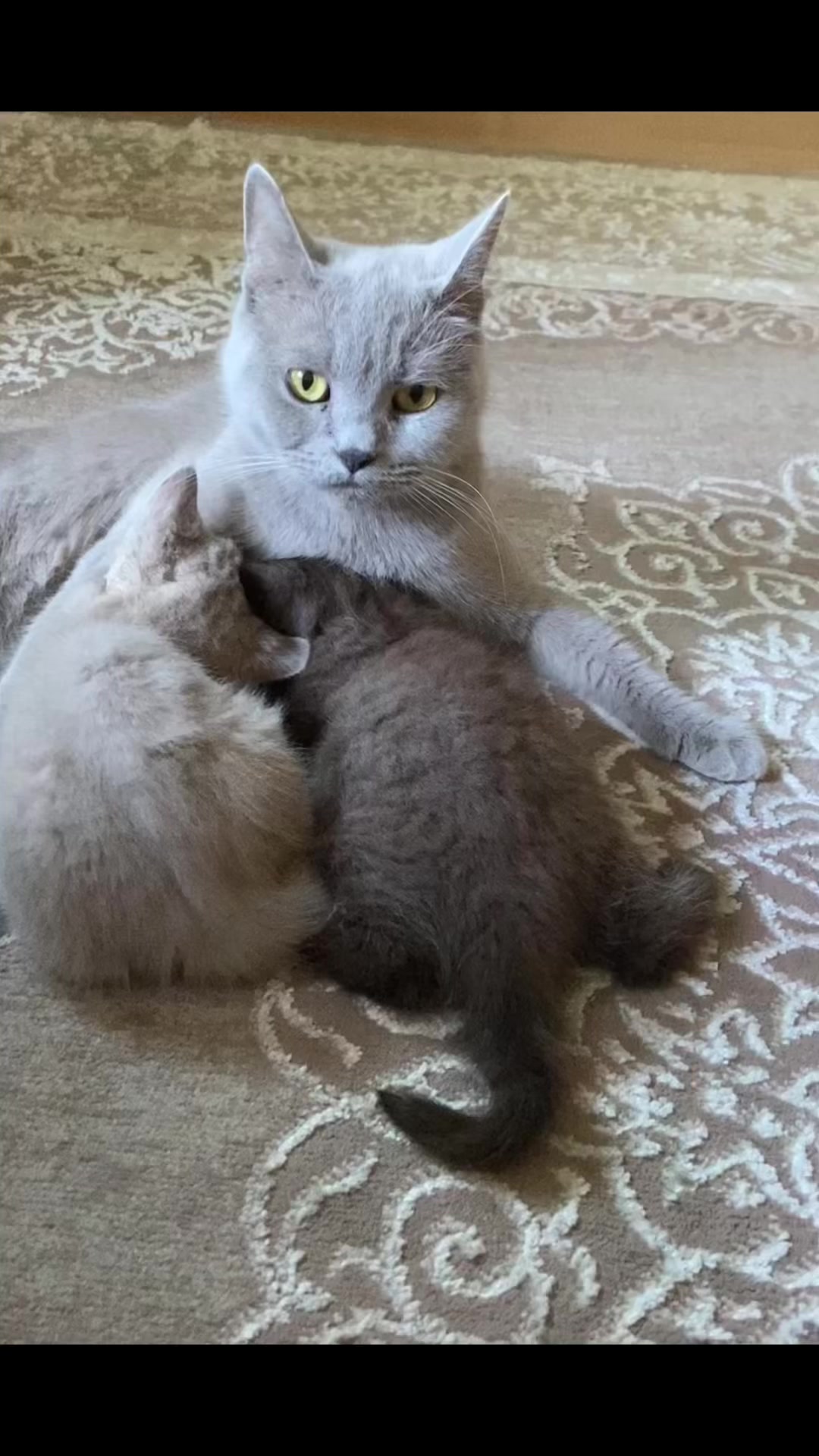 @ВИКУСЯ ЯСНОВИДЯЩАЯ