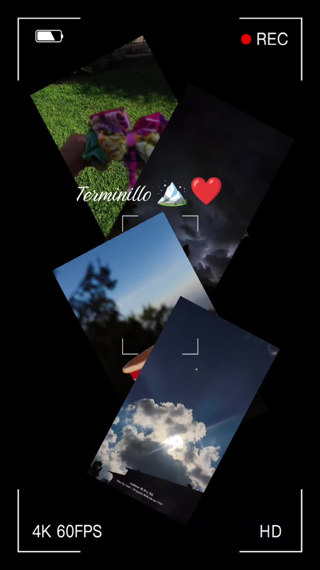 @Pidocrea🐞