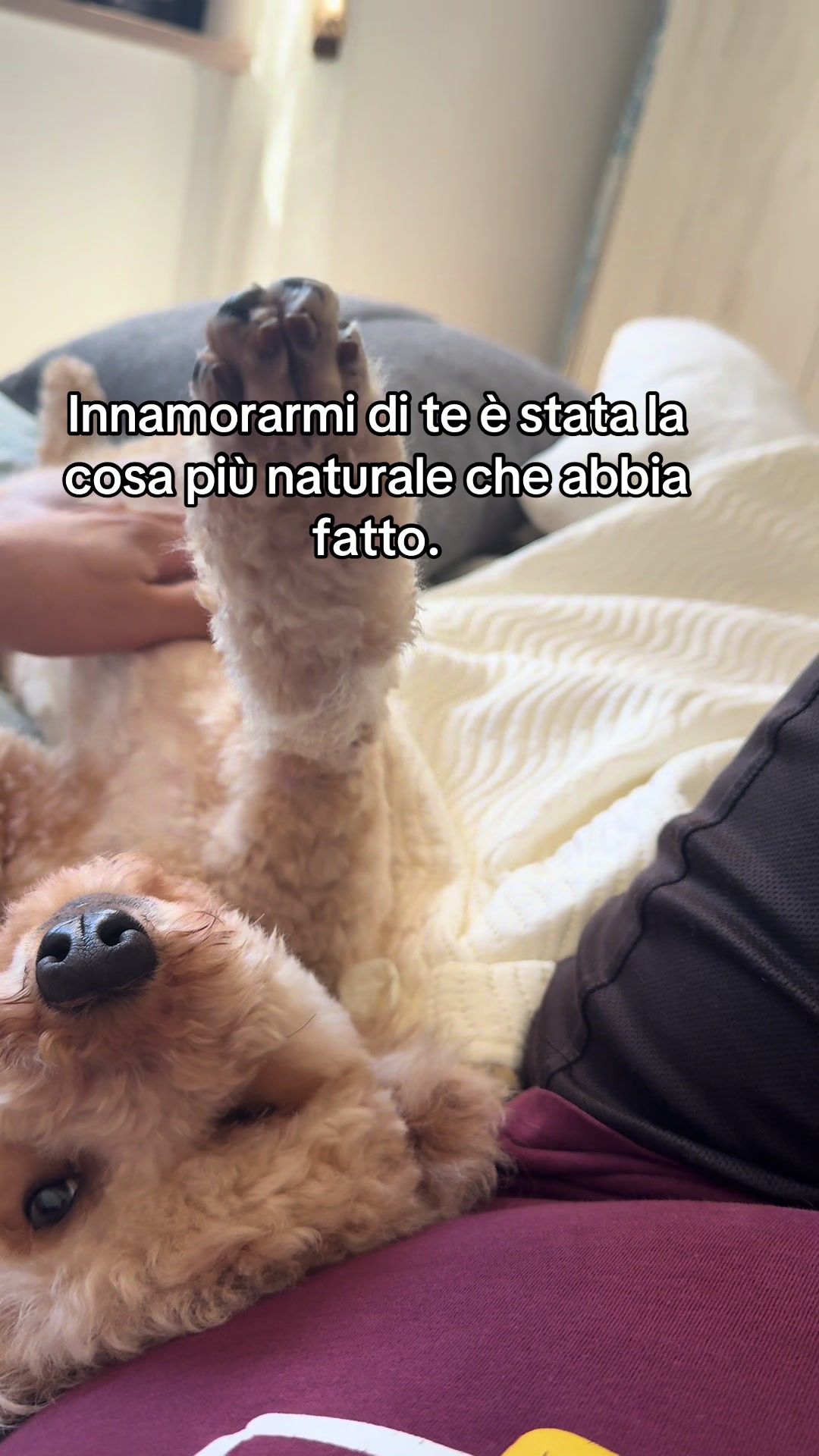 @miky tomaiuolo
