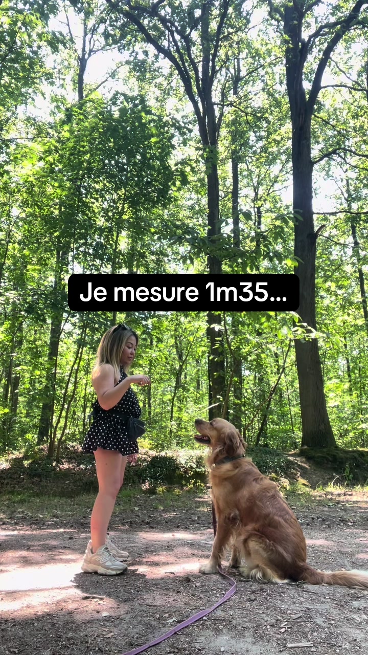 @Emyofficiel