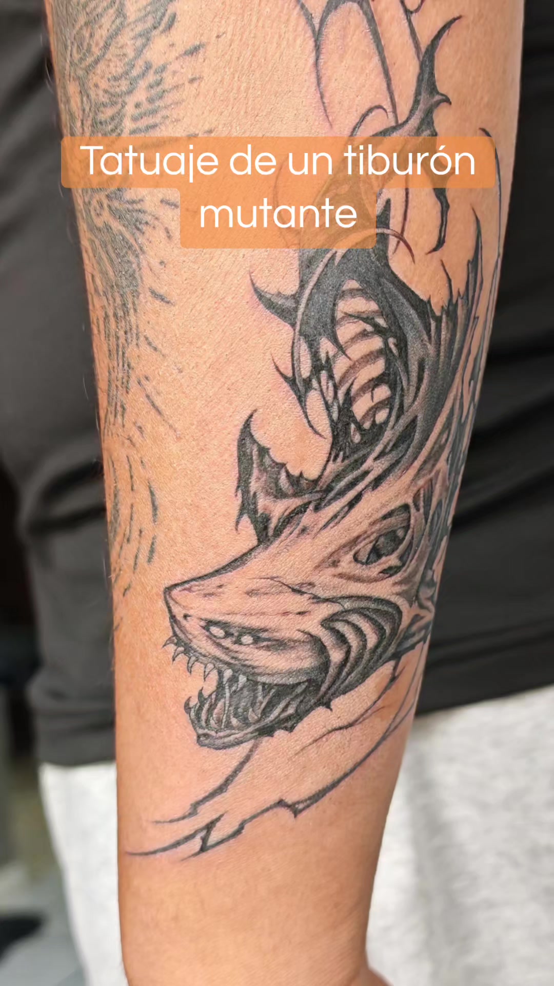 @Julio Arg&uuml;elles Tatuador