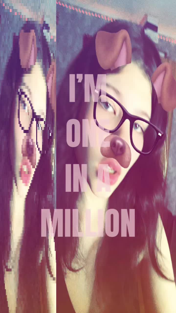 @кошка