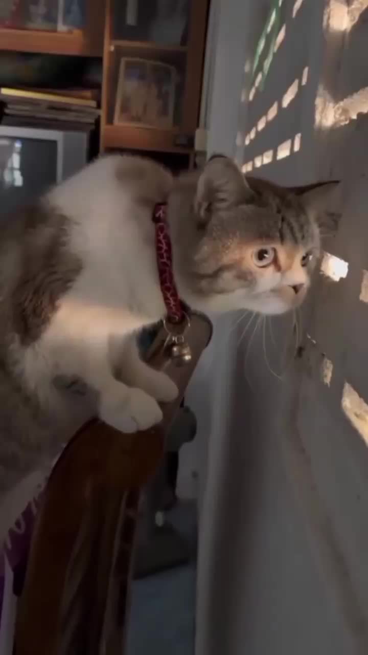 @Наталья Сосновская