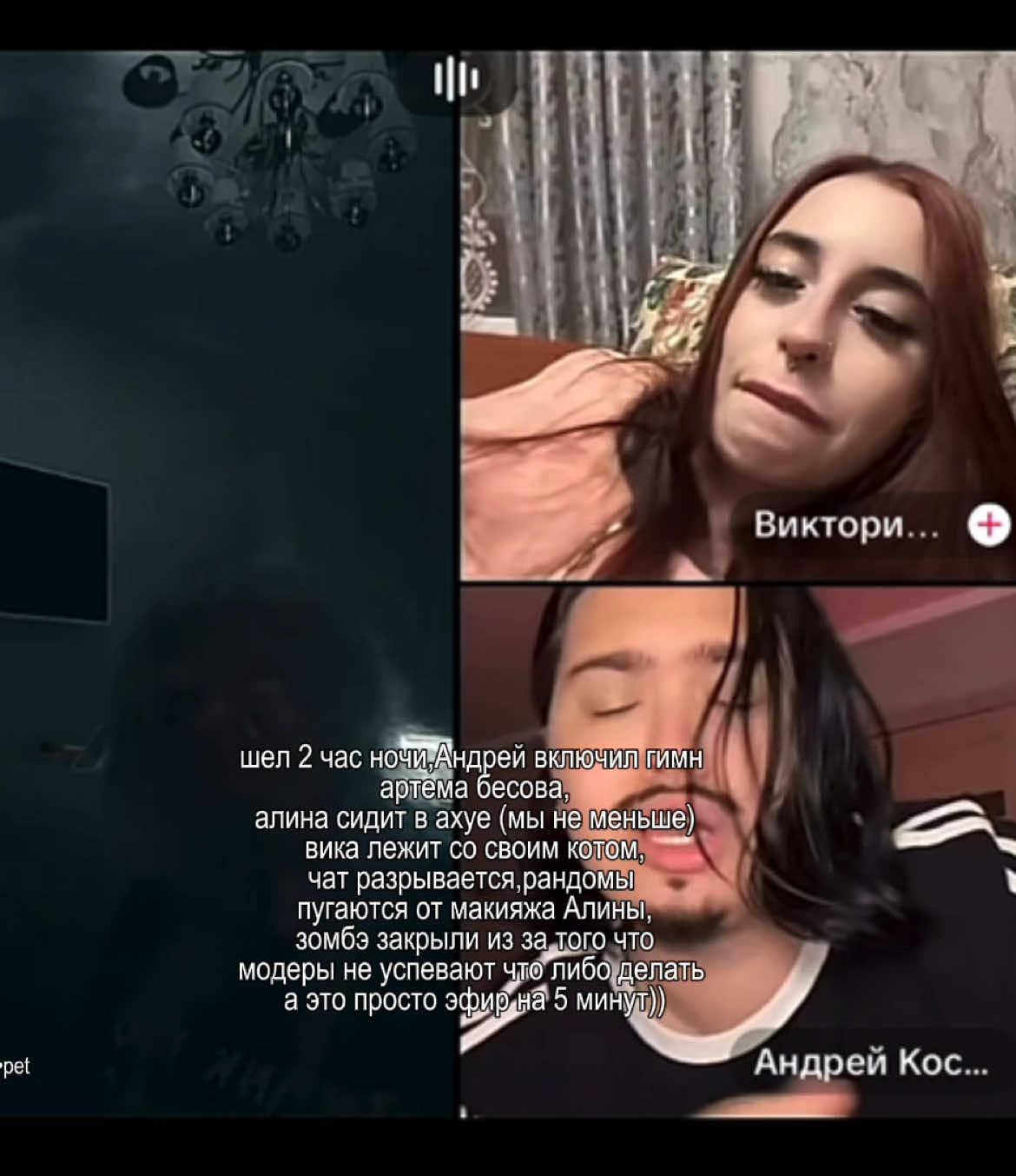 @varvara•pet
