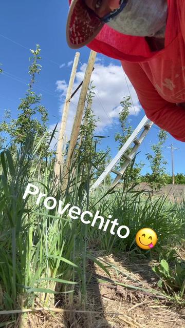 @Chaparrita79&hearts;️&hearts;️