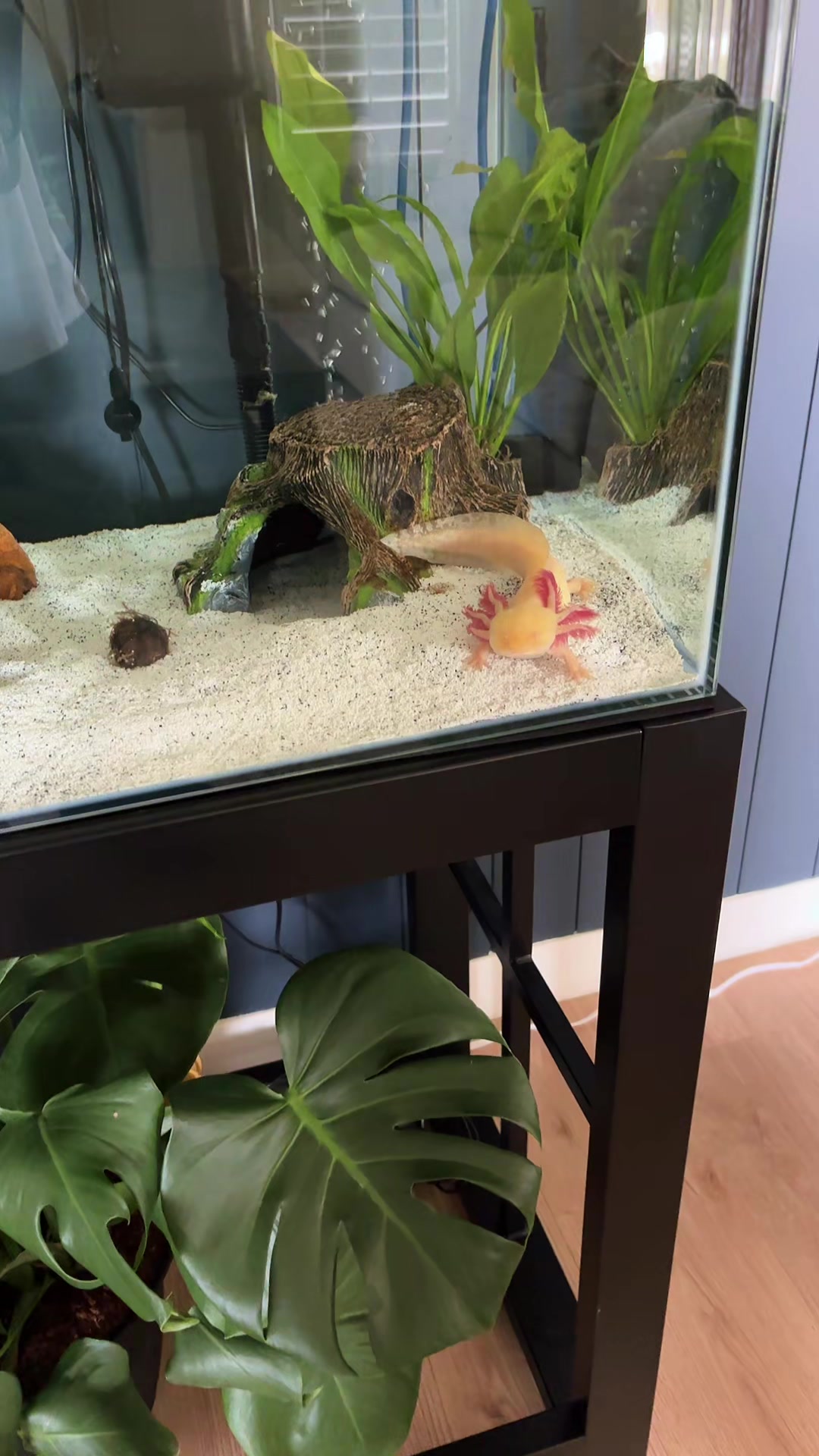@reeflove