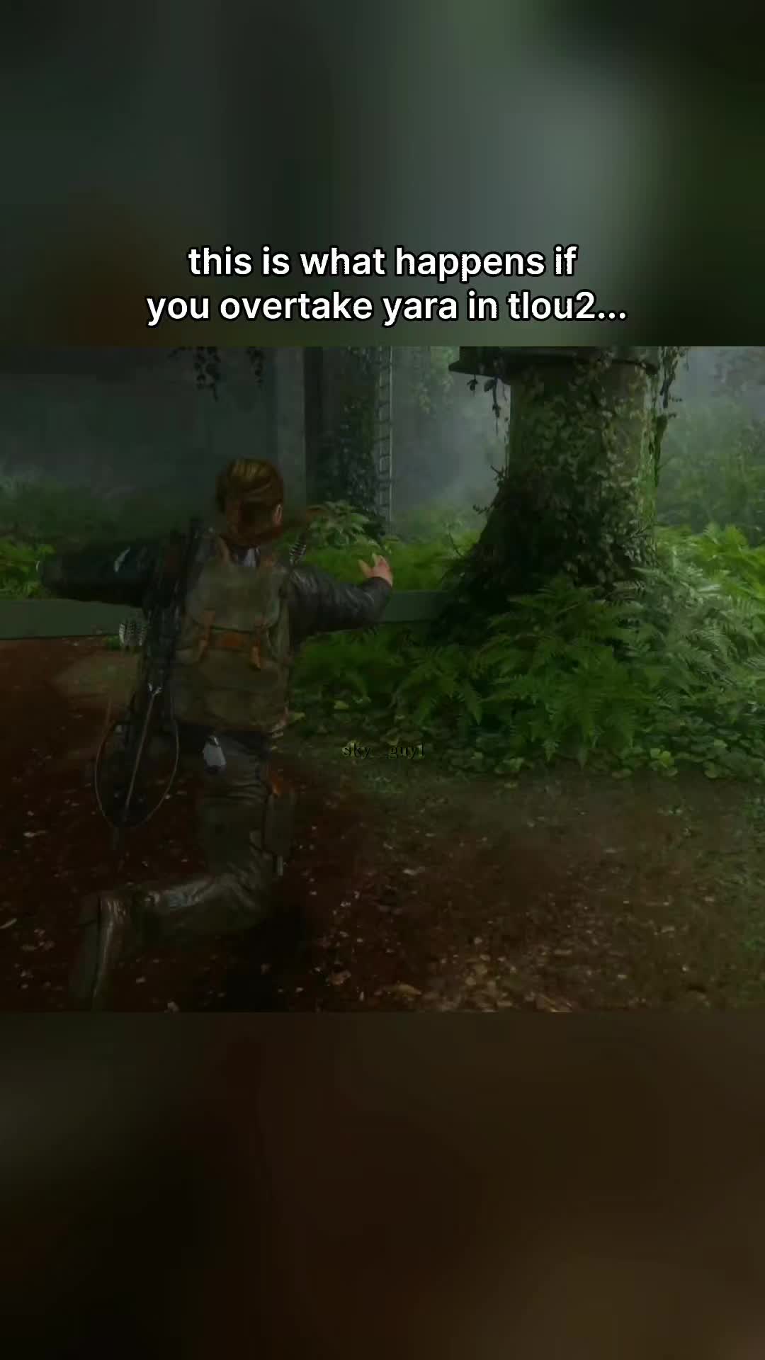@skyguy