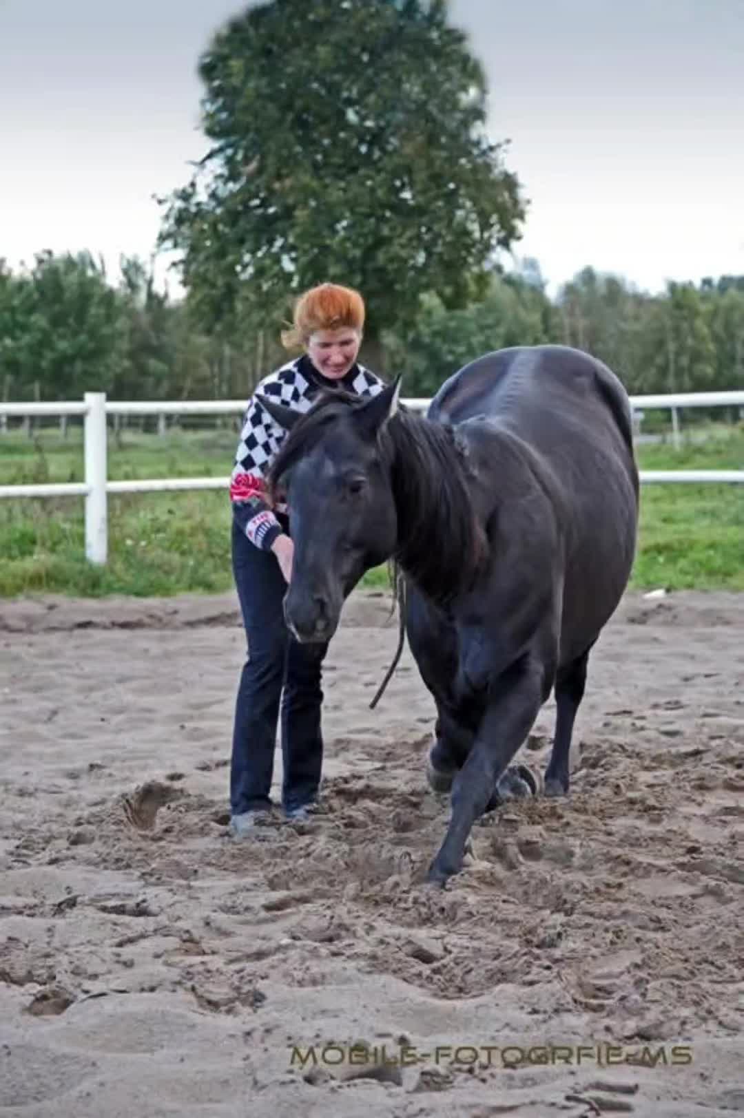 @simonenoack715