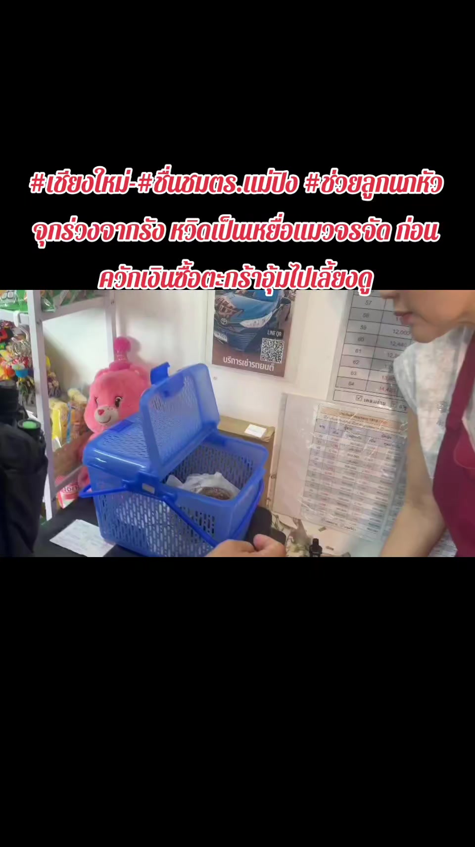 @มะหิสุตัง💜🕷️🕸️