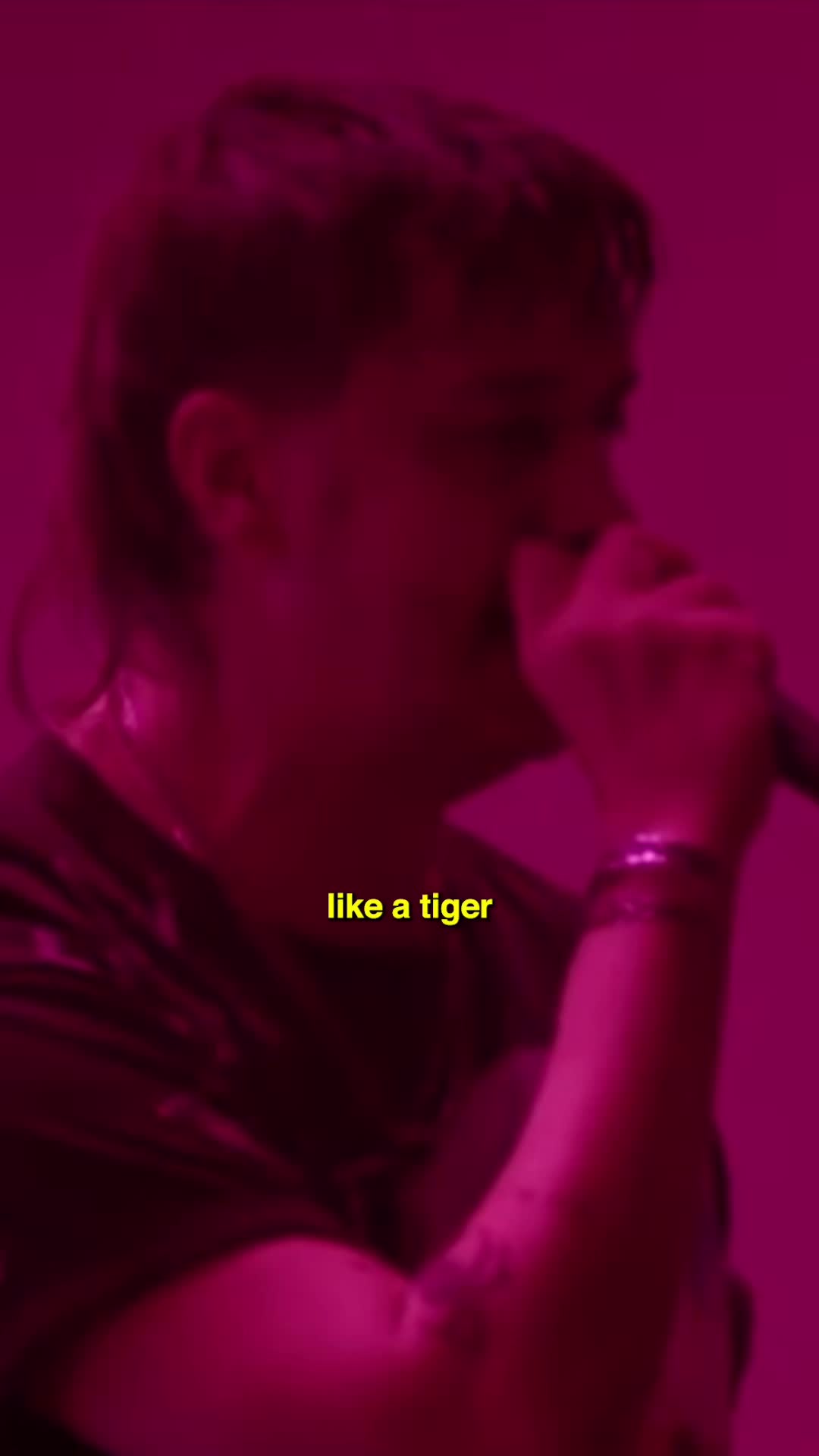 @The Strokes Fan