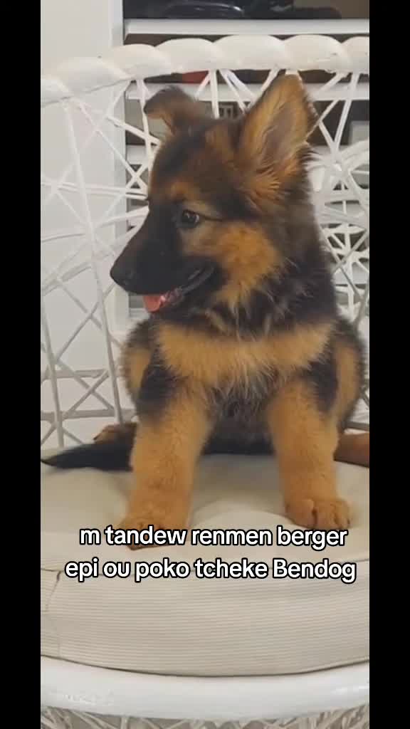 @Bendog