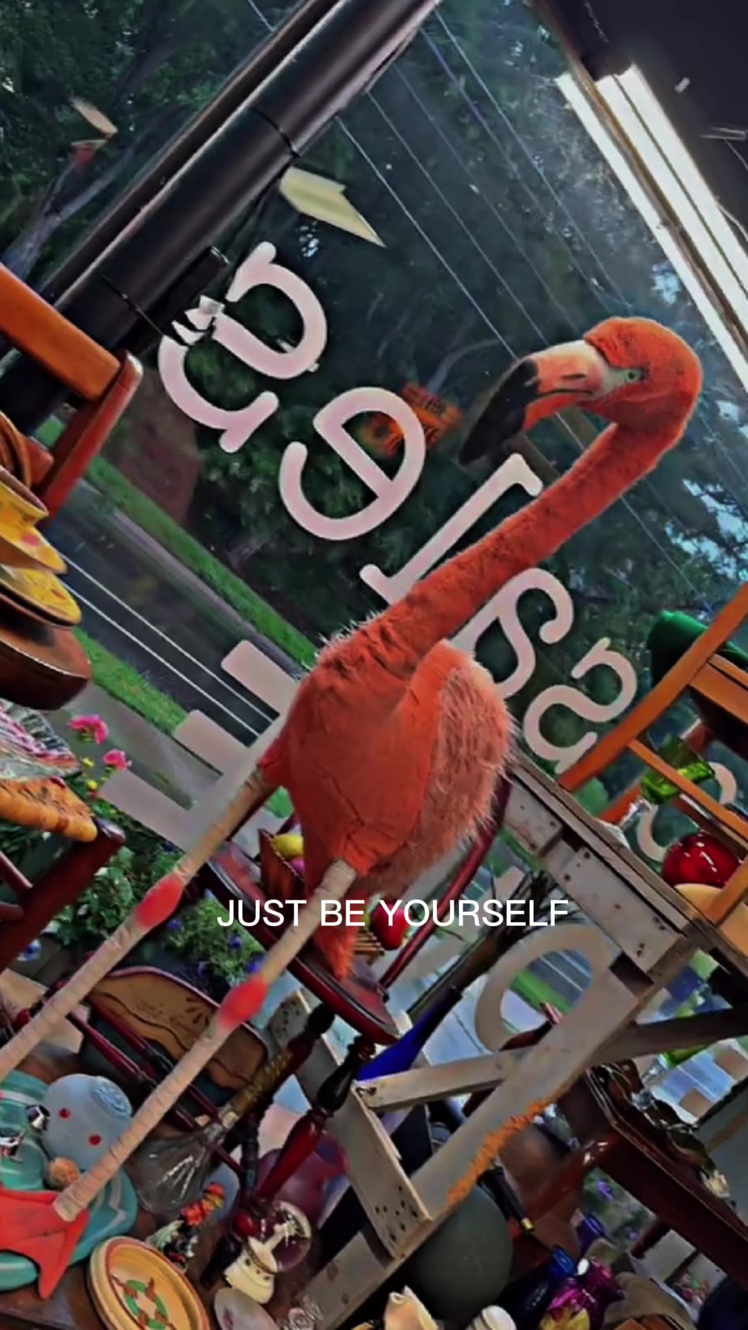 @James Flister