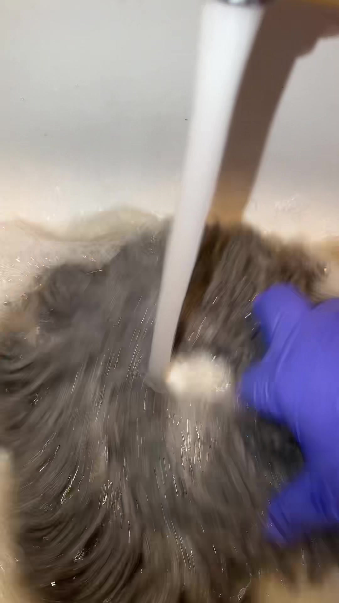 @cleantock25