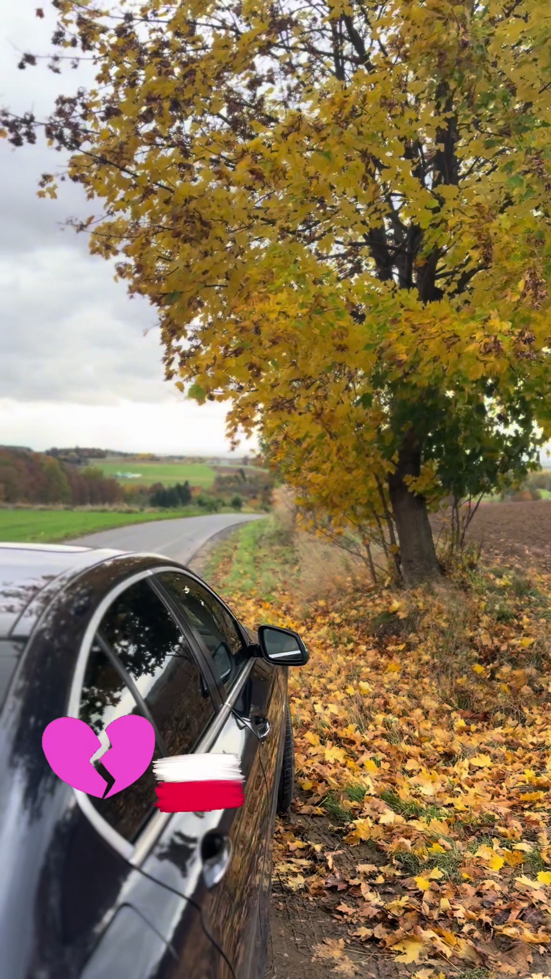 @Kamila Debieś