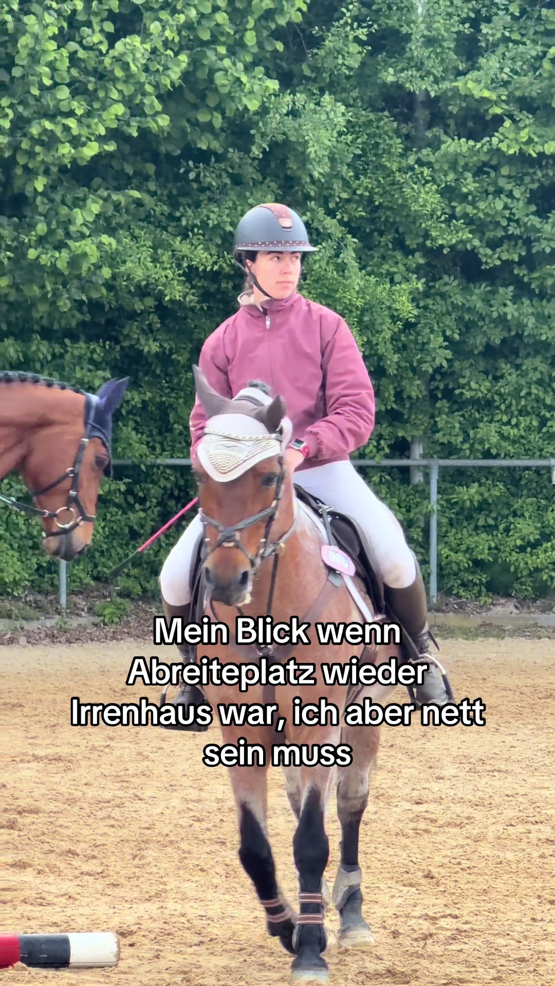 @Sally und die Jungs 💙🩷🤎