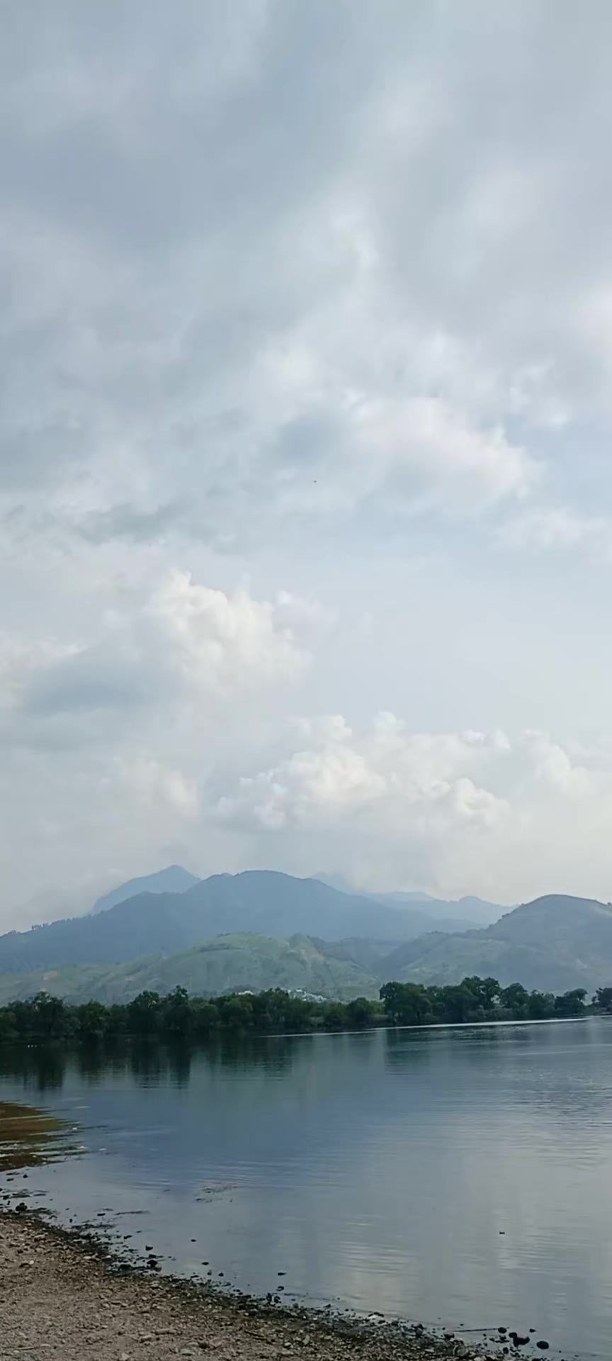 @🇬🇹🇬🇹CarlosMolina🇬🇹🇬🇹