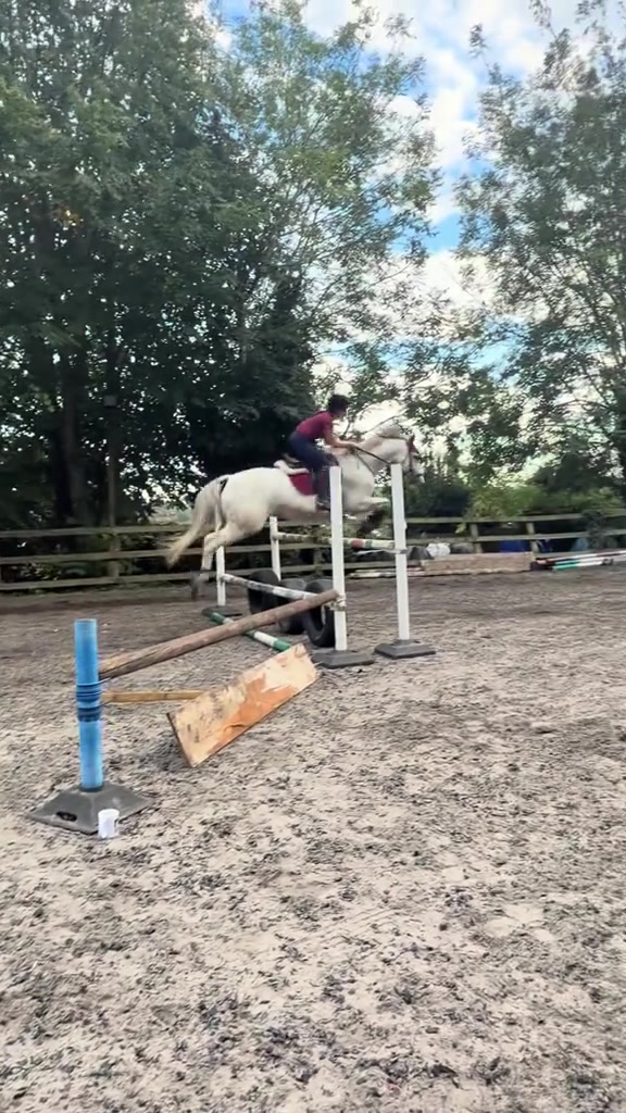 @Equ🐎:all the gear no idea🫶✌️