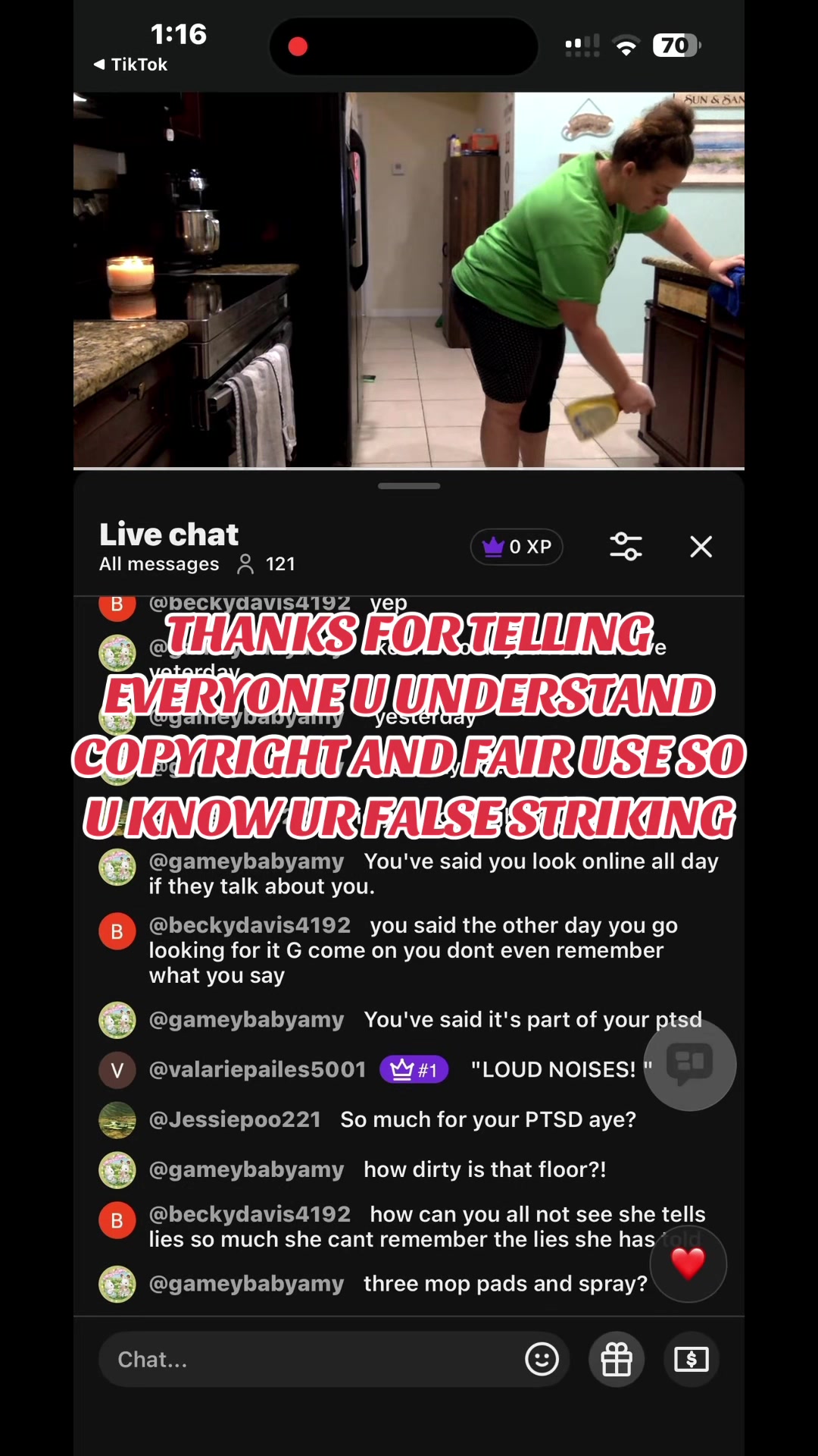 @MINI VILLI
