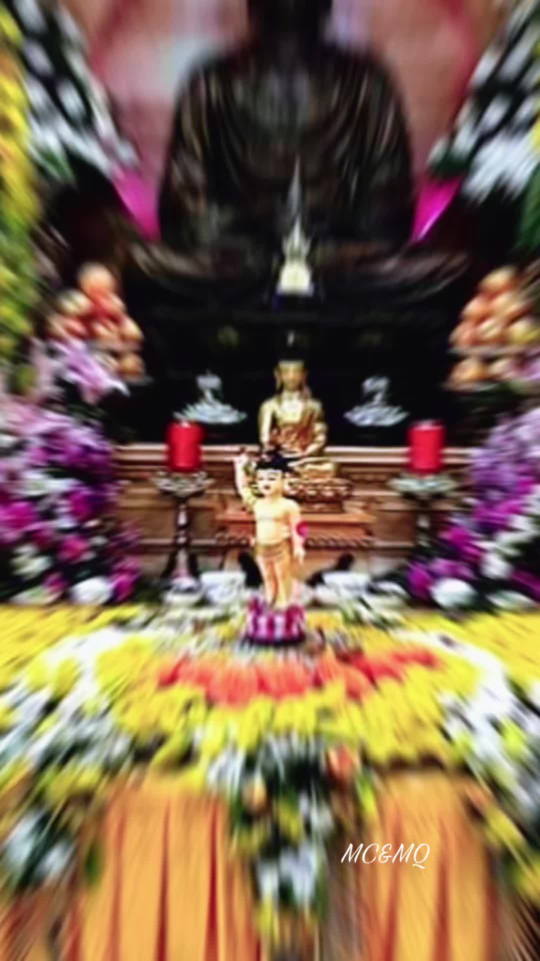 @🐅🇺🇲Mi_Cheo🇻🇳🐅