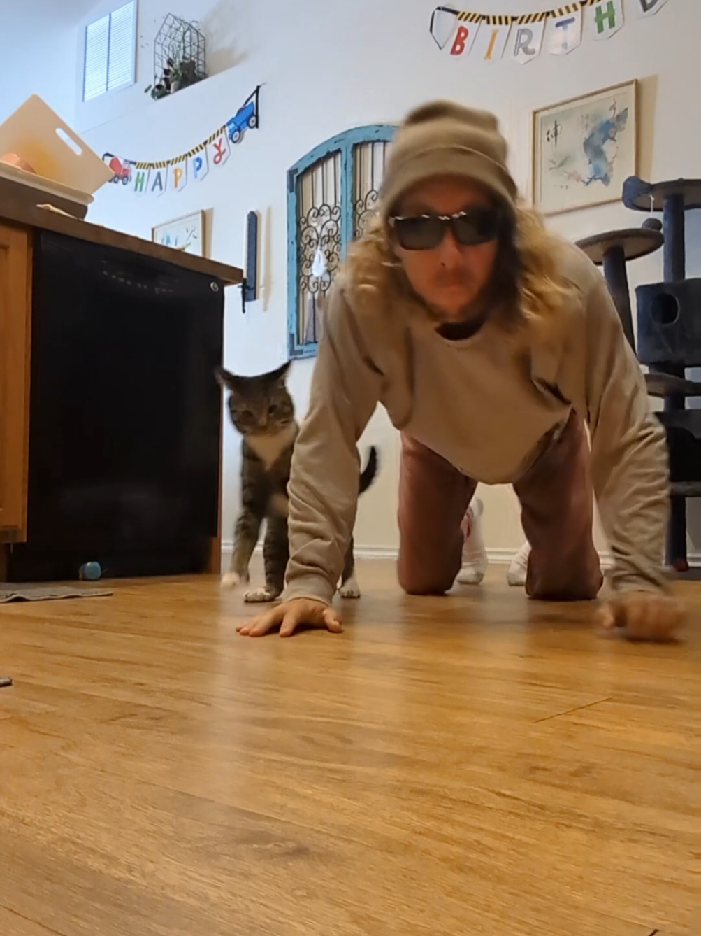 @Rainy the Cat