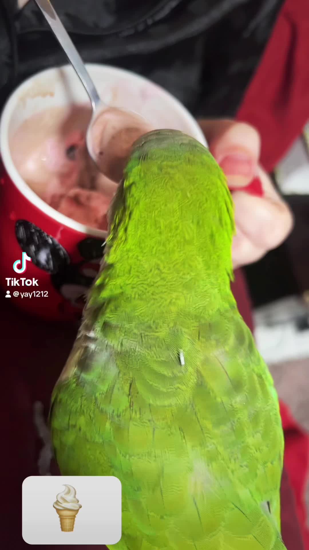 @Charlie🦜