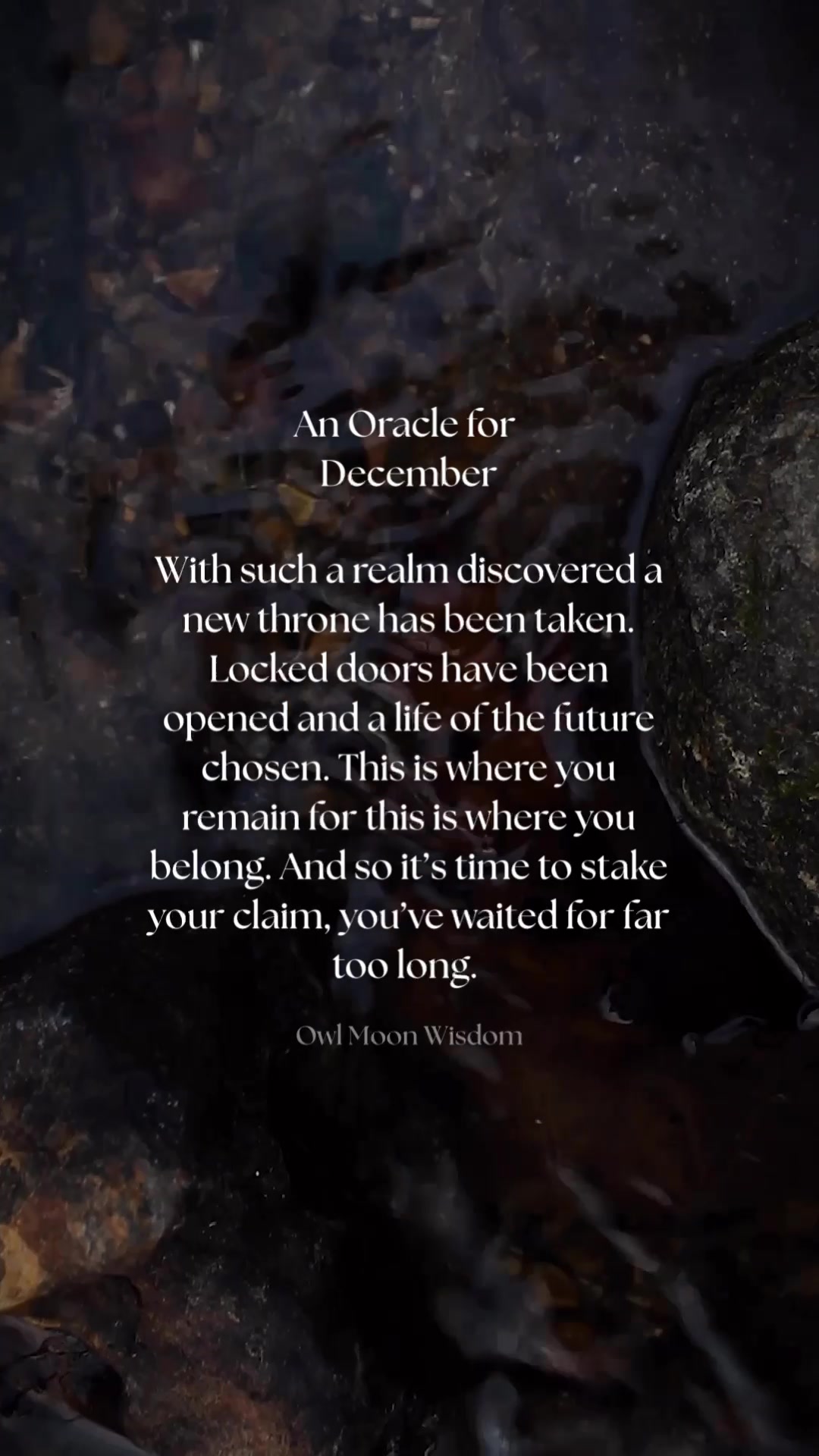 @owlmoonwisdom