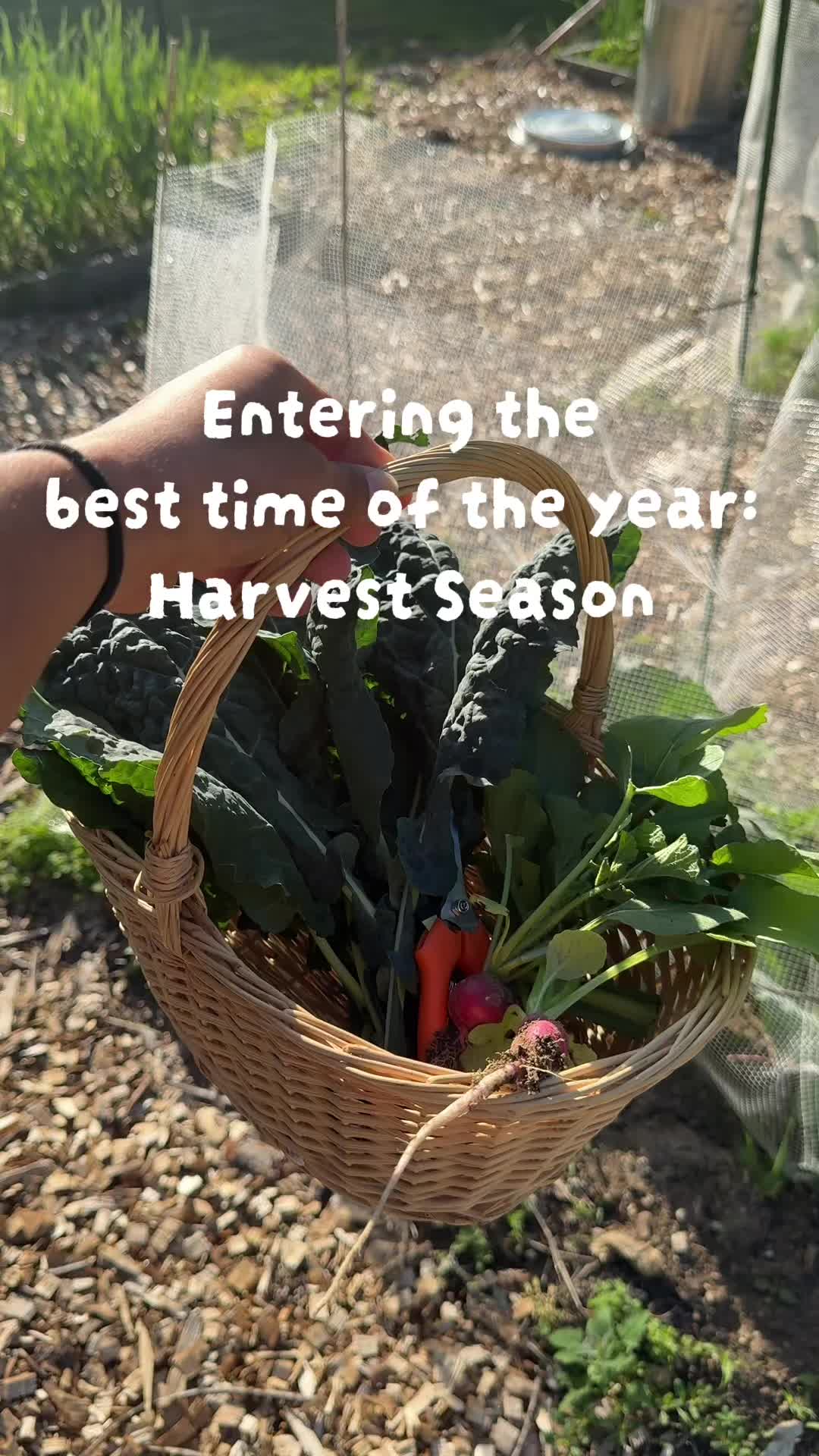 @Manica | zone 6a gardener