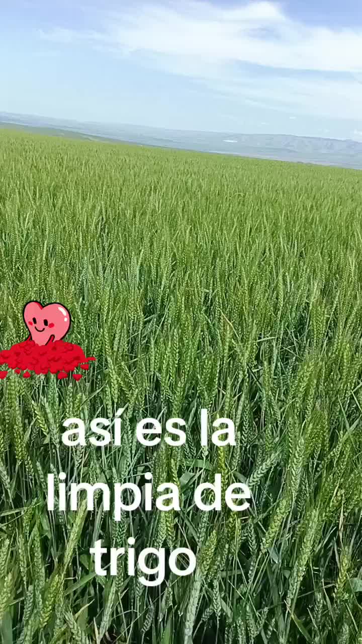 @la chapina de๐๐