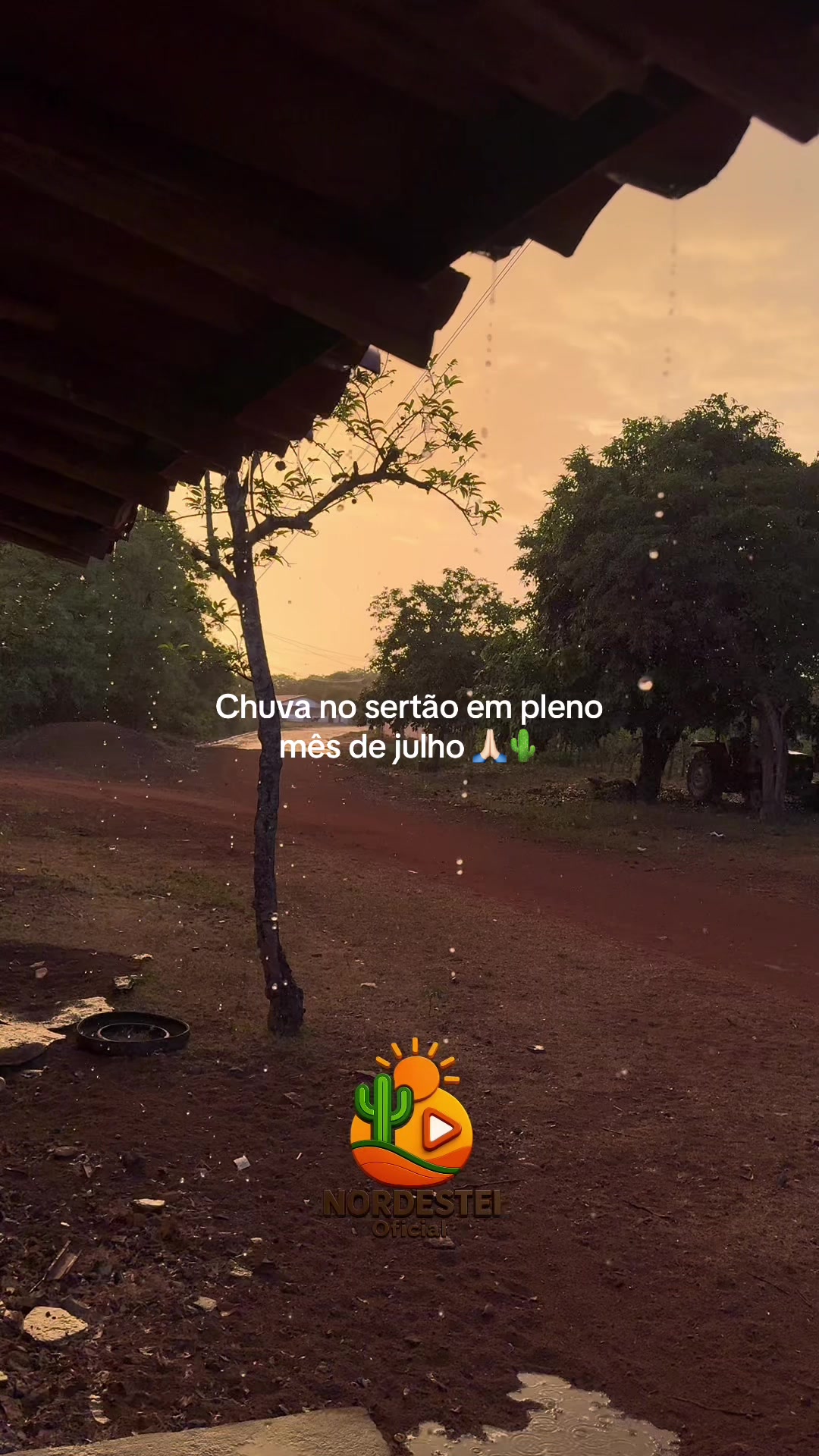@nordesteioficial