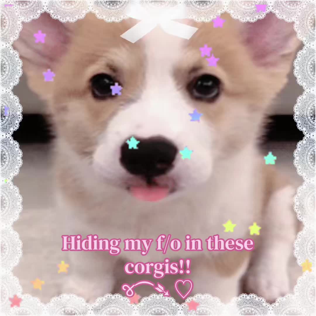 @˗ˋˏ líαղα ♡'s ժҽԵҽcԵíѵҽs!ˎˊ˗