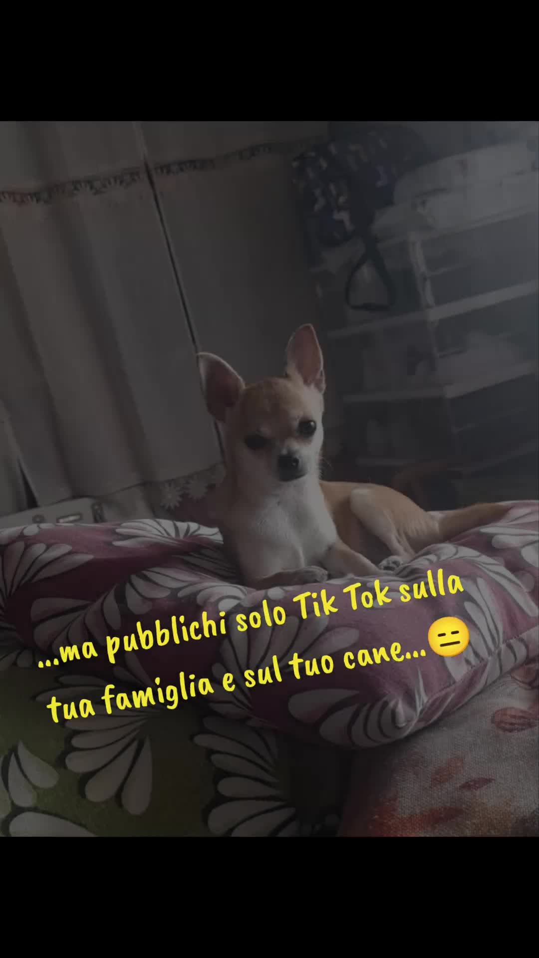 @Ilaria🦩💚🐿️