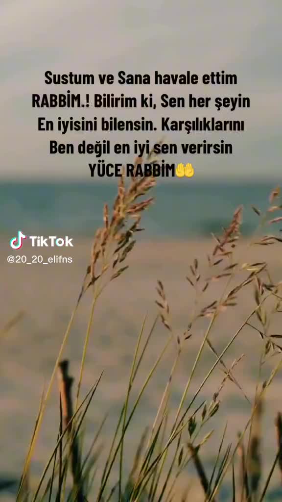 @Aleyna Meryem yavuz