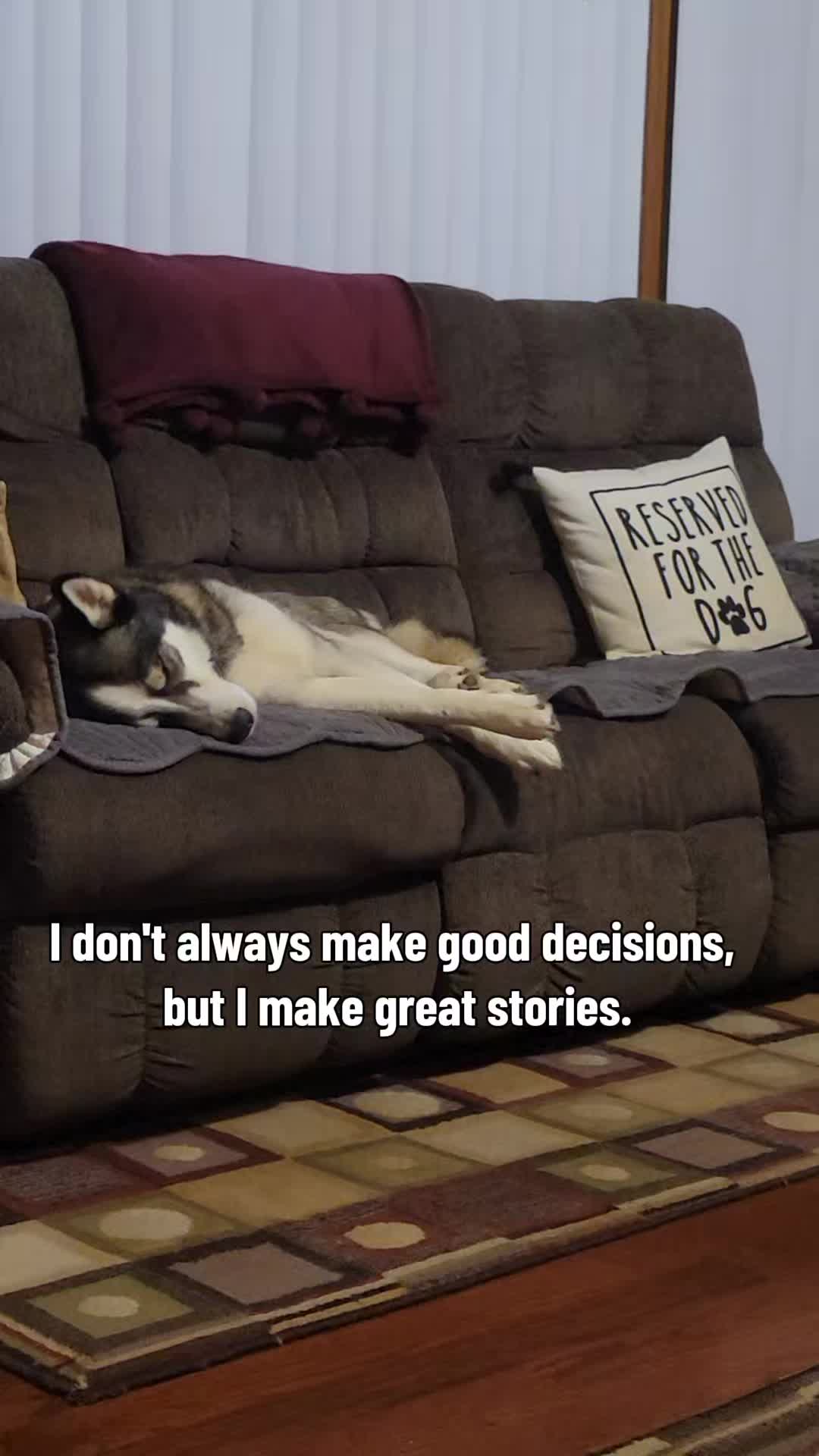 @the Hussey Husky