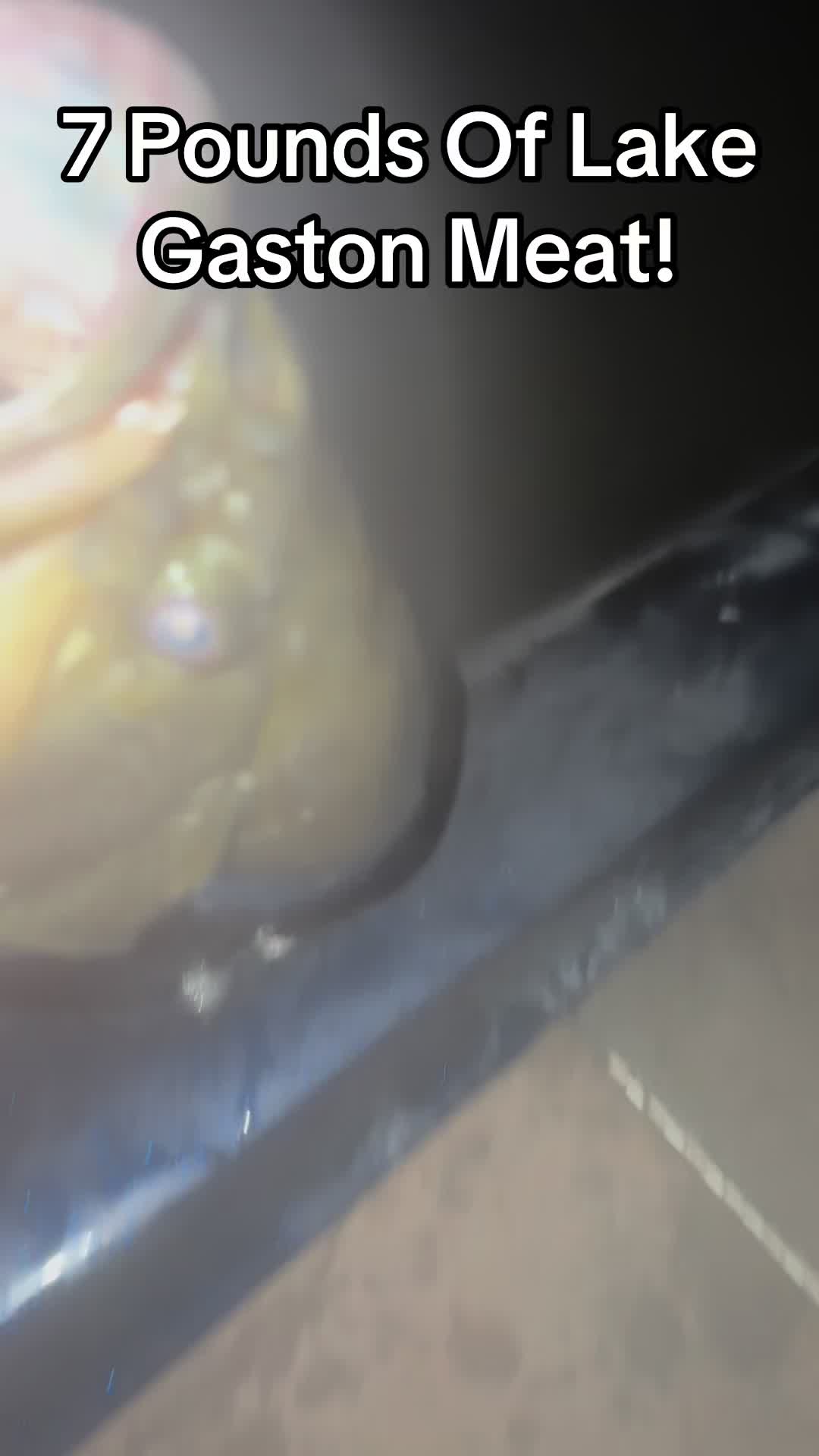 @evan_whitefishing