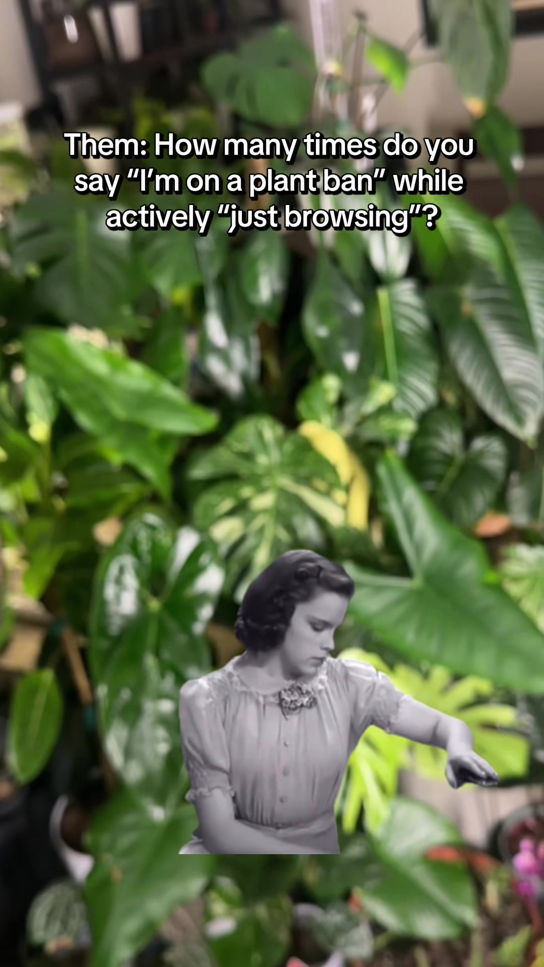 @🌱yler✨Beatty&rsquo;s Botanics
